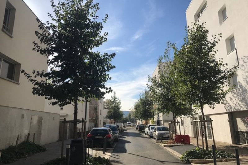 GRENOBLE Chatelet alignement arbres