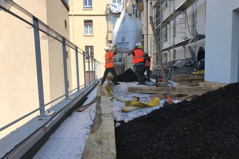 GRENOBLE Select reception substrat sur toiture terrasse