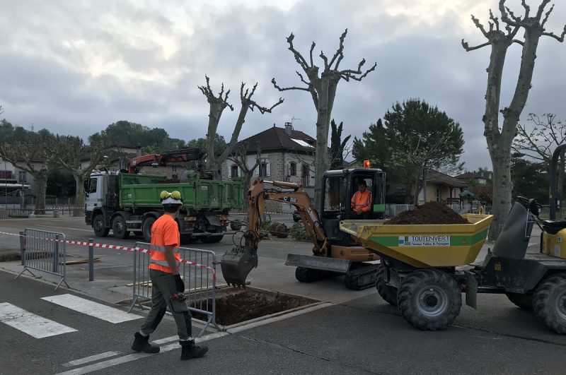 Place de la Mairie Plantation d'arbres