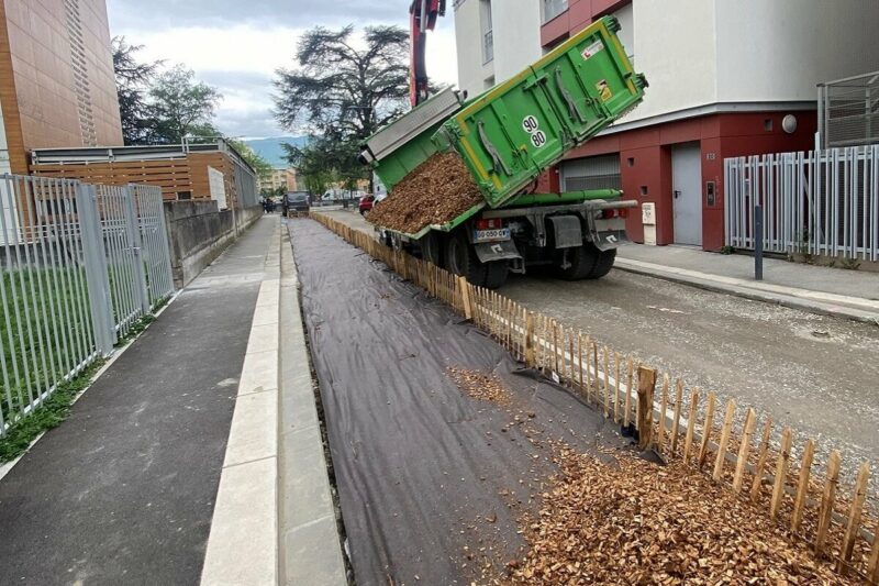 béton copeaux réseau arbre